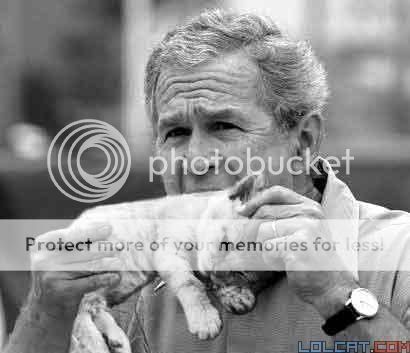 Bush_eating_cat.jpg
