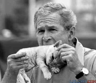 Bush_eating_cat.jpg