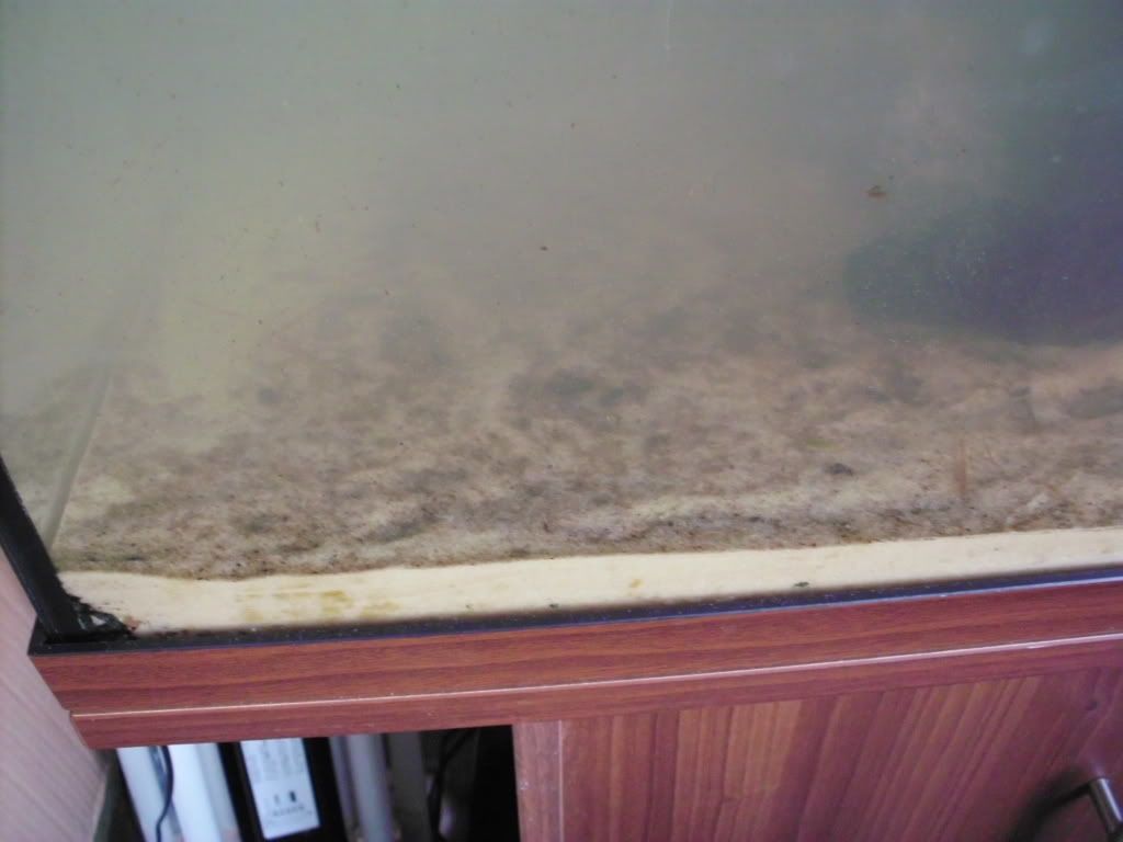 HPIM0062.jpg