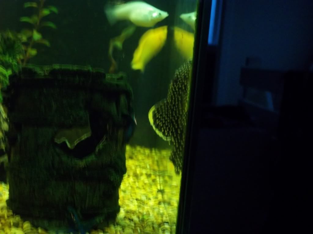 100_0752.jpg