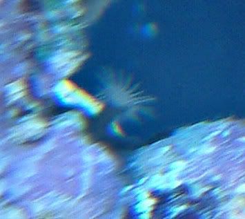 DSCF0019.jpg