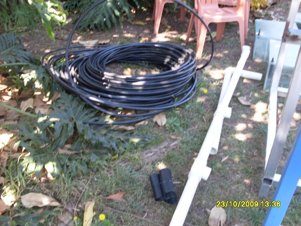 breedingsetupday1005.jpg