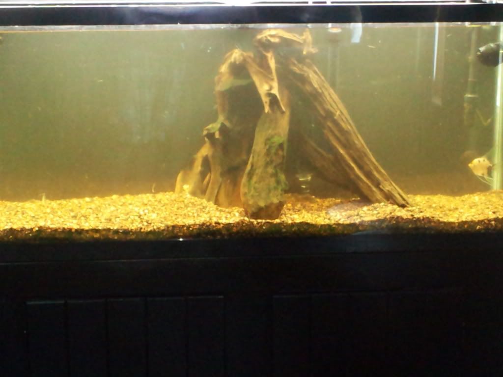 2012-06-24123048-1.jpg