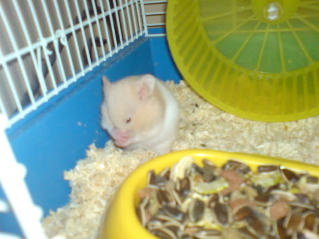 DSC01385.jpg