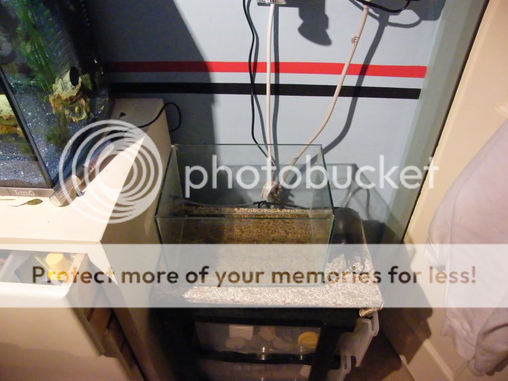 DSCF4492.jpg