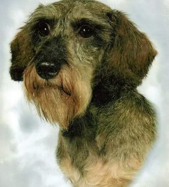 bertie2.jpg