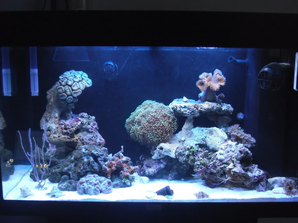 FTS-1.jpg