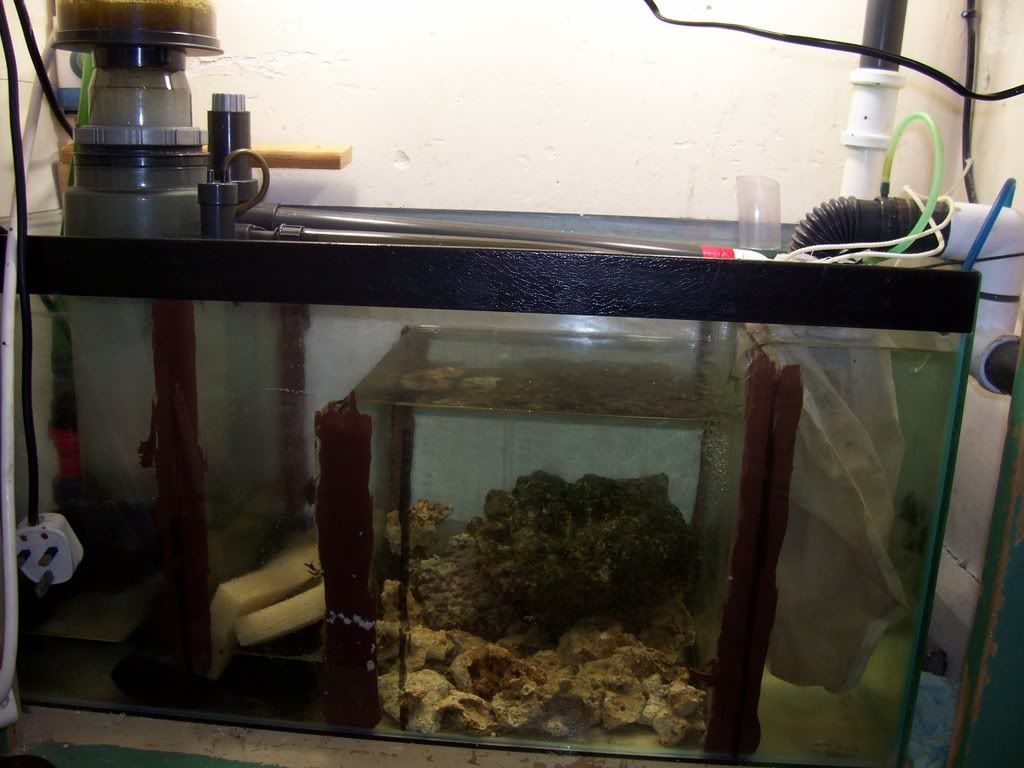 SUMP008.jpg