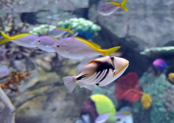 DSC_0302pp.jpg