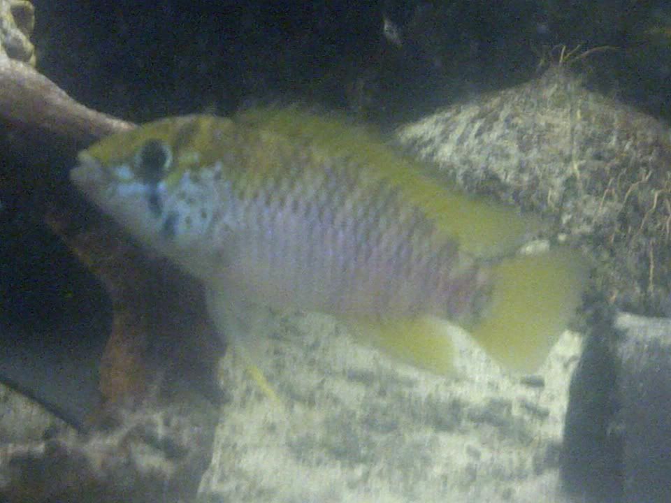 IMG-20111217-00070.jpg