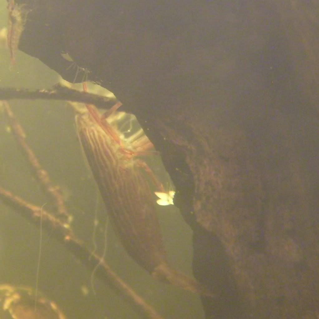 S7003875.jpg