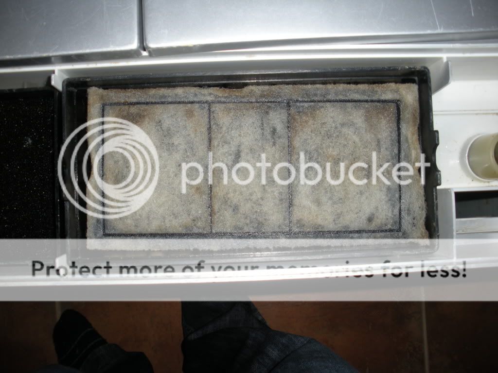 DSCN9883.jpg