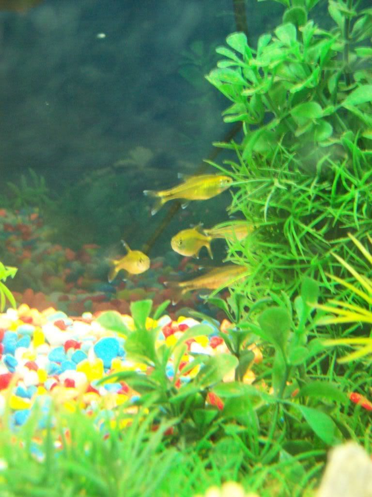 100_0689.jpg