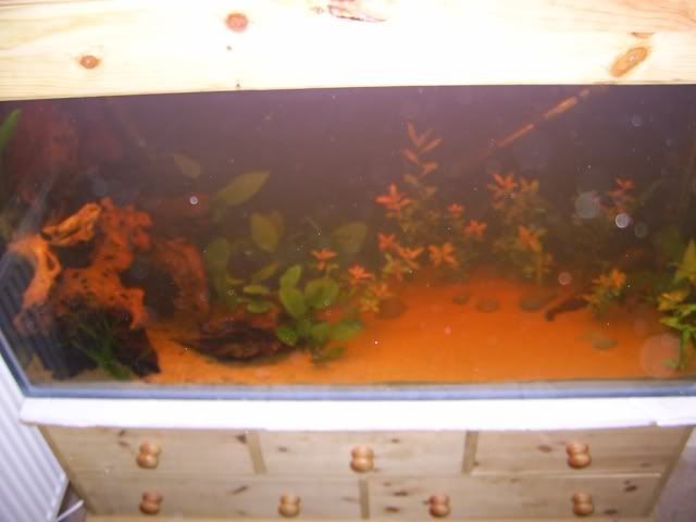 grow012.jpg