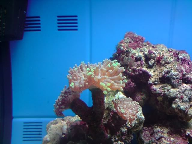 P300309_1824.jpg