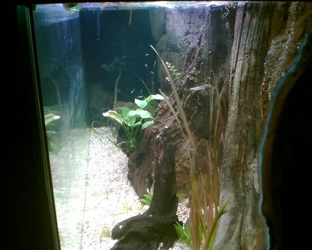 Image009.jpg