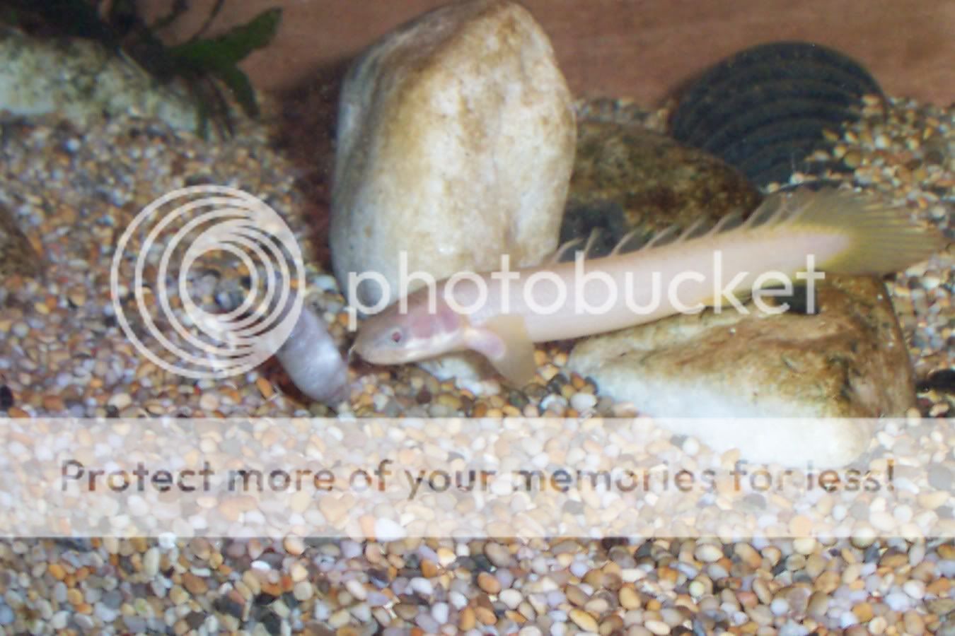 July22st05016.jpg