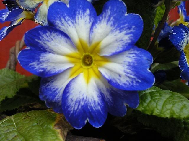 Photo1309.jpg
