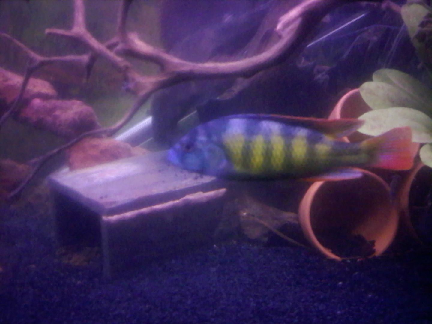 0520090105a.jpg