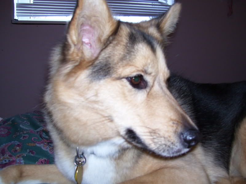 000_0040.jpg