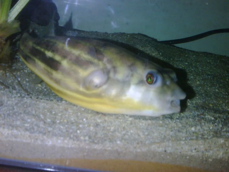 IMG00440.jpg