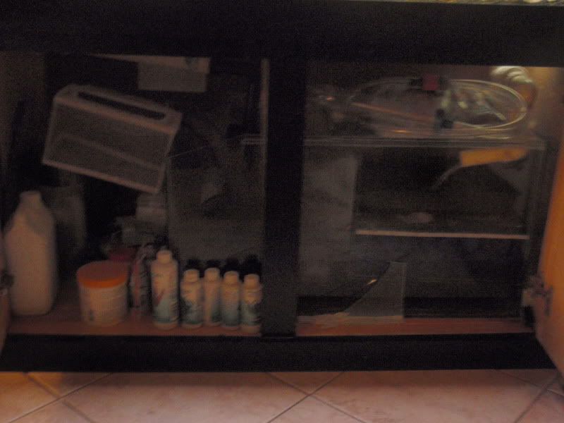 PB061642.jpg