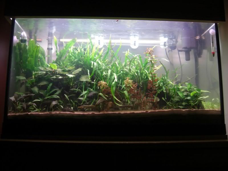 fulltankfront.jpg