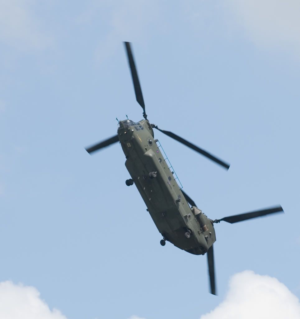 DSC_8438.jpg