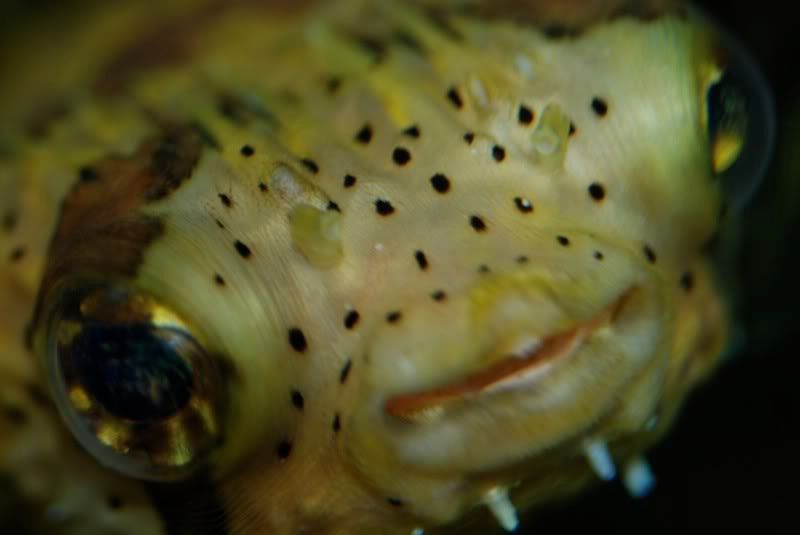 DSC_7277.jpg