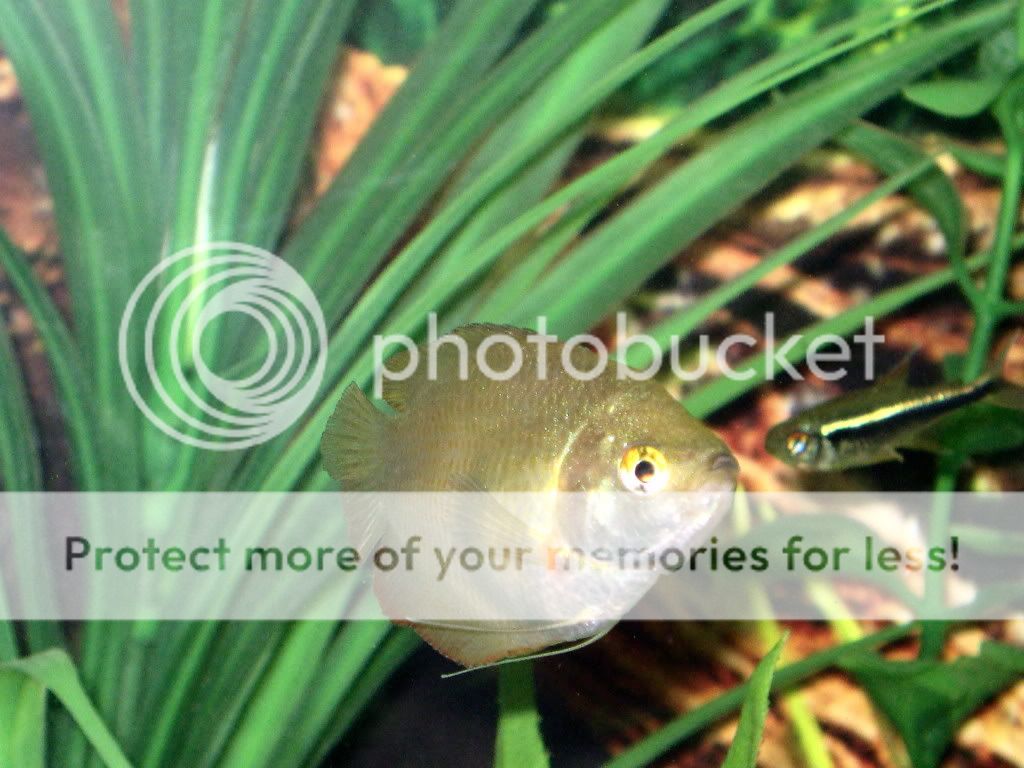 IMG_1364.jpg