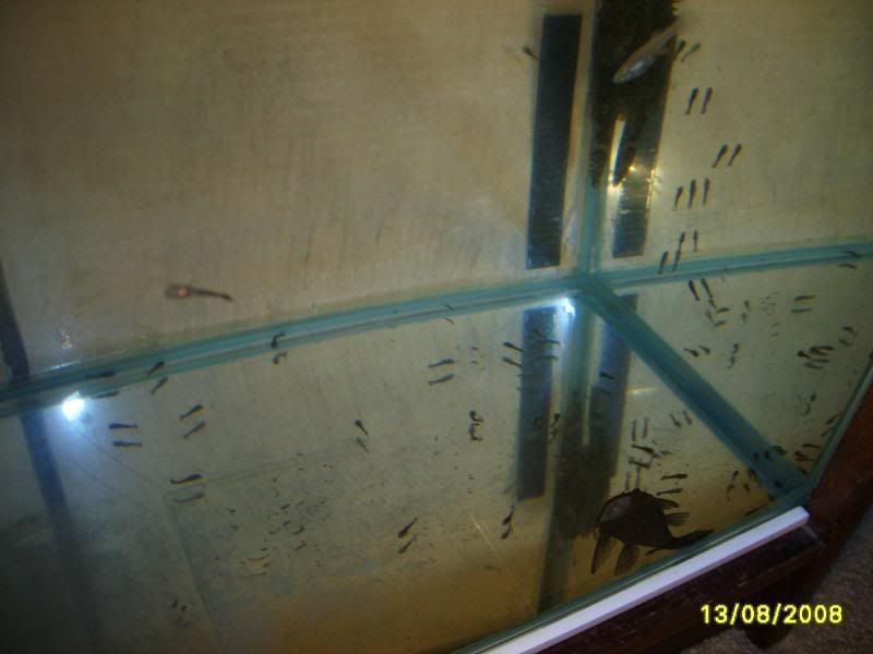 S5005315.jpg