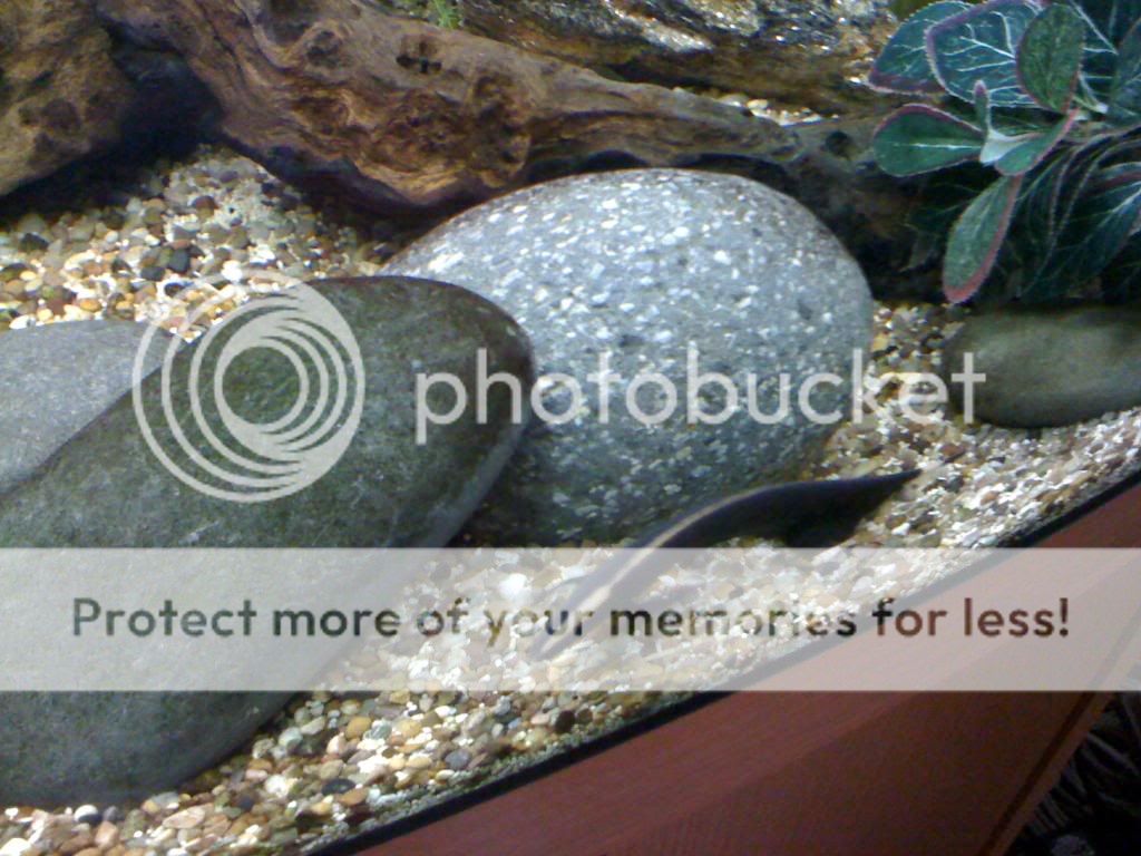 032-3.jpg