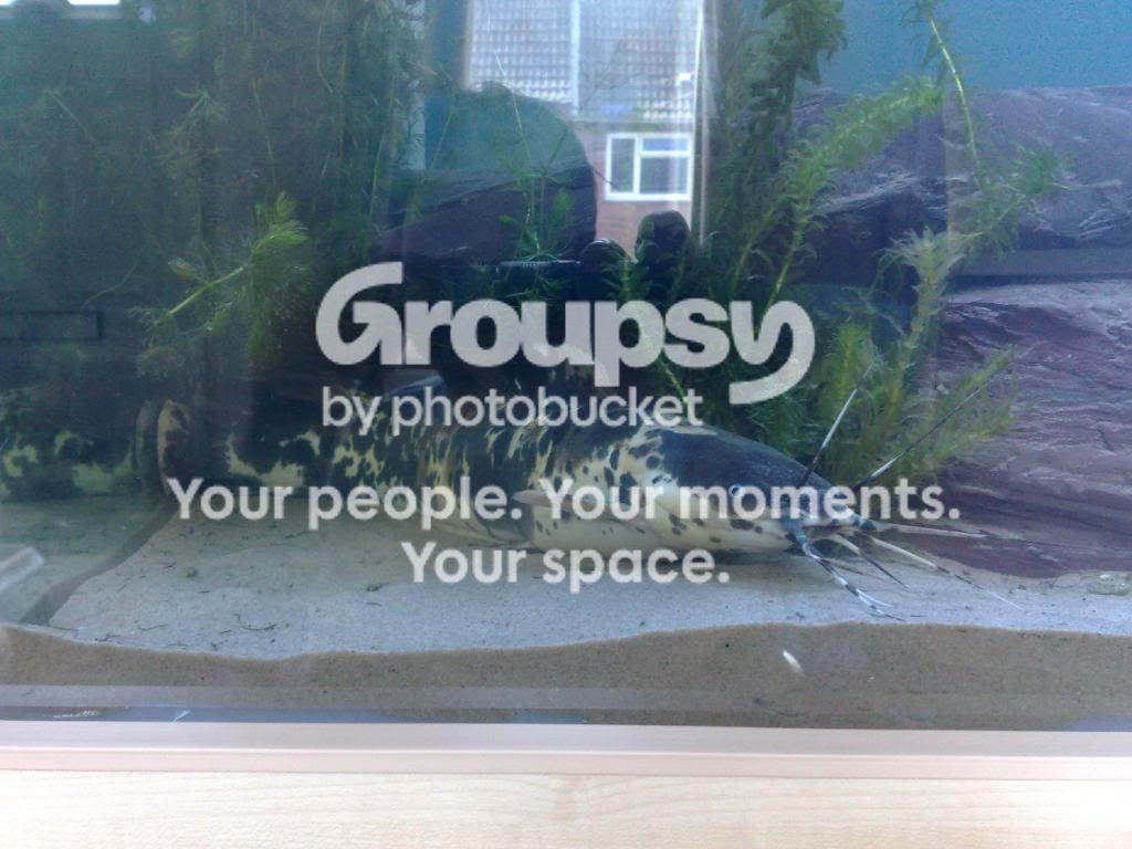 01052009250-2.jpg