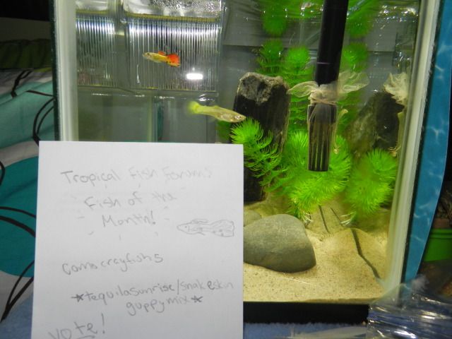 DSCN2404_zpsce2ce891.jpg