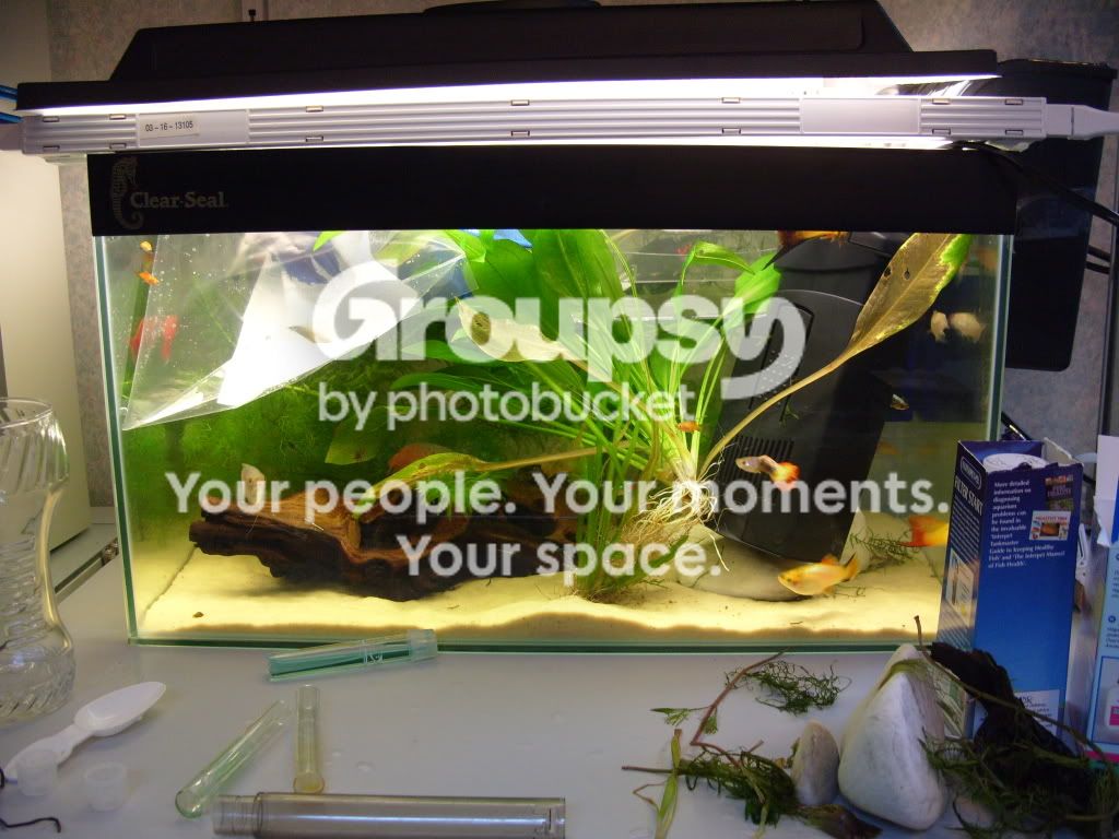 S1050043.jpg