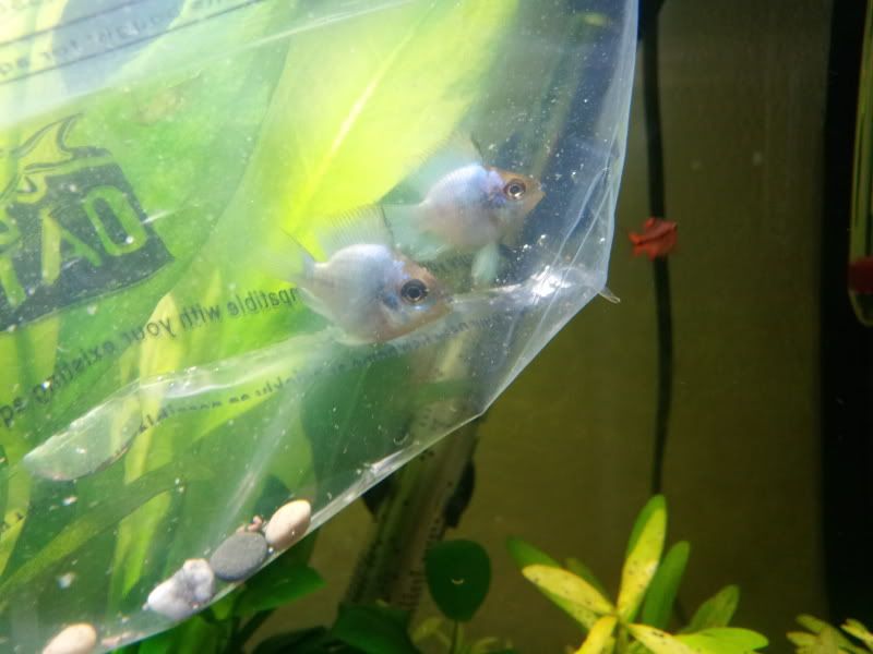 2012-02-16114355.jpg