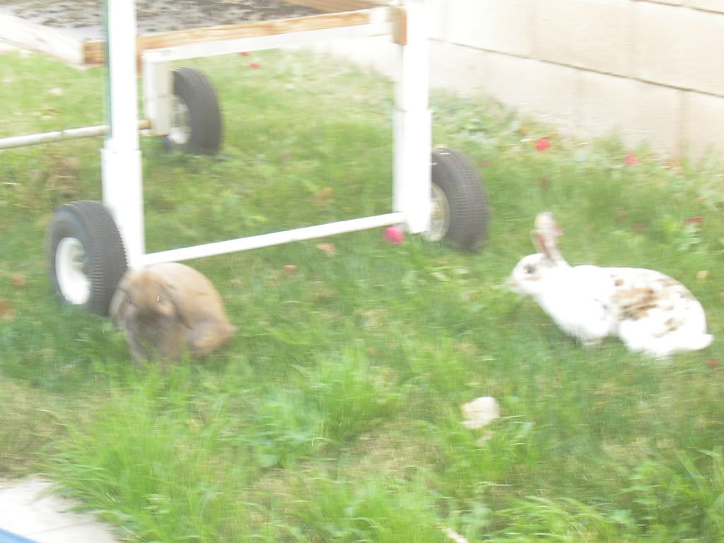 Picture080.jpg