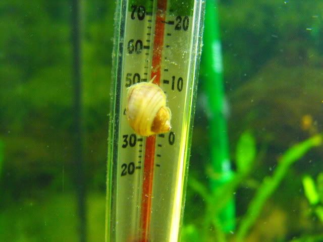 2010_0629118tank0021.jpg