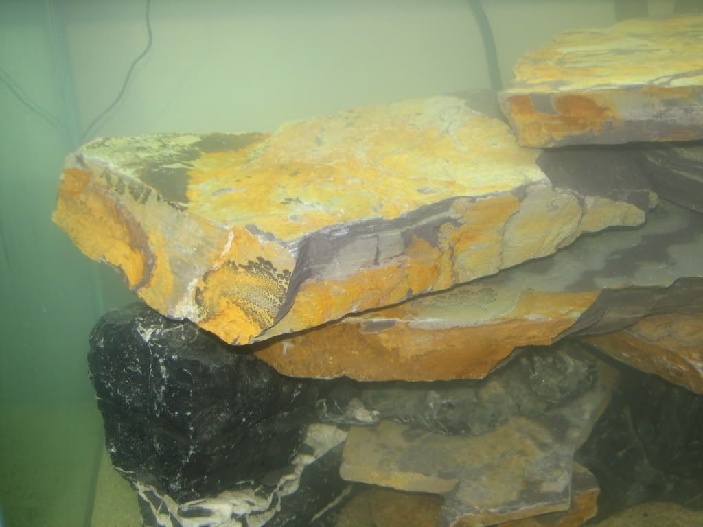 FishTank007.jpg