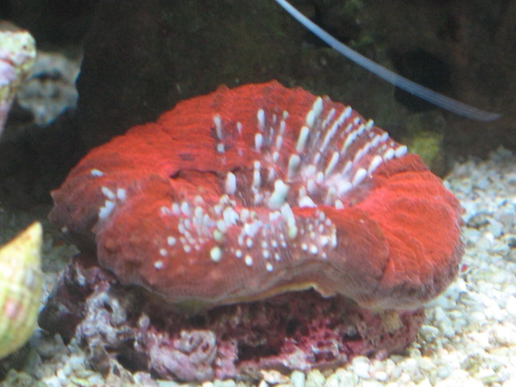 IMG_1973.jpg