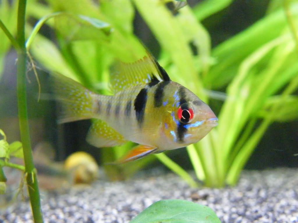 DSCF4713.jpg