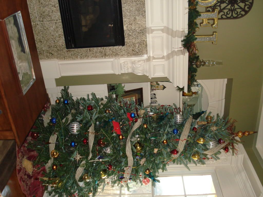 DSC02095.jpg