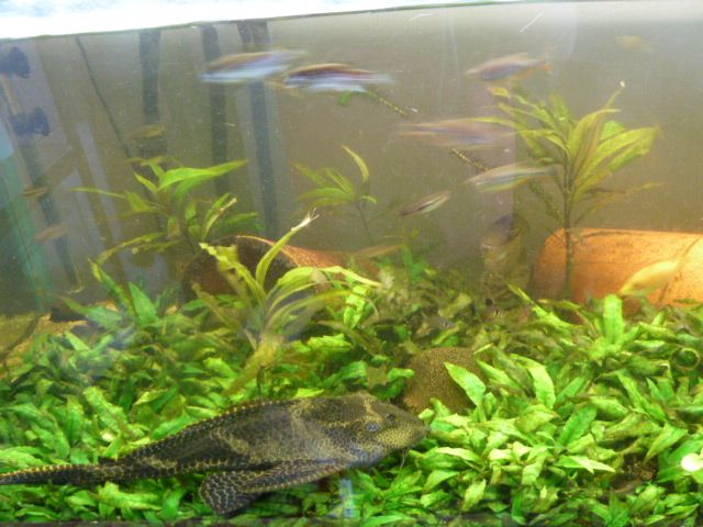 P1020128_zpsc5be61e6.jpg