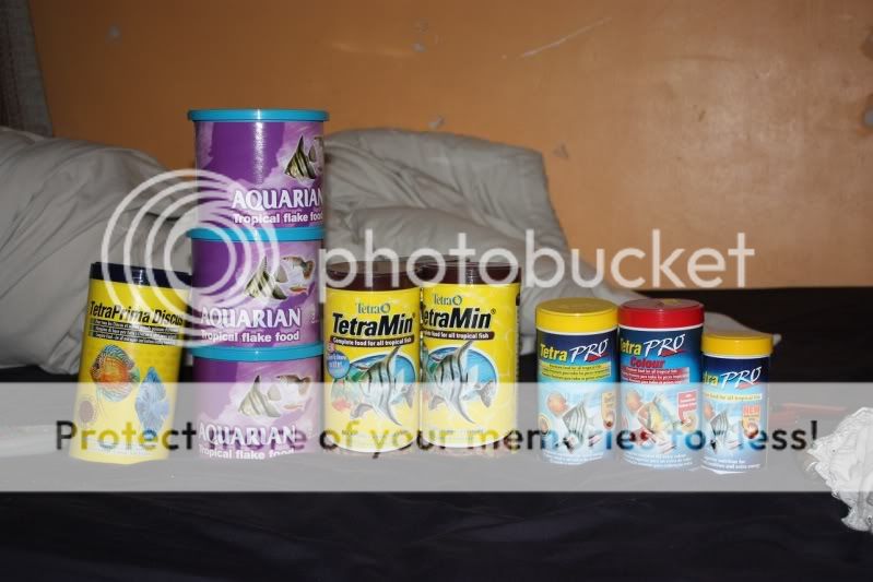fishfood.jpg