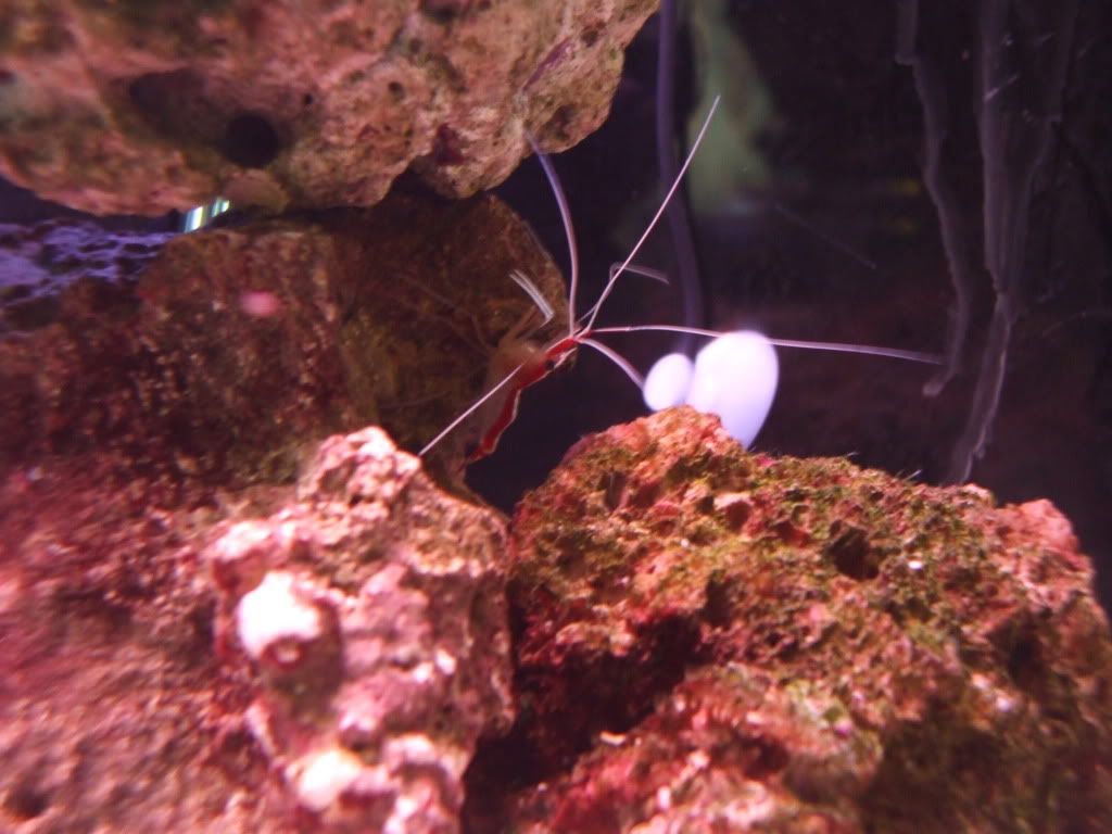 DSCF9029.jpg