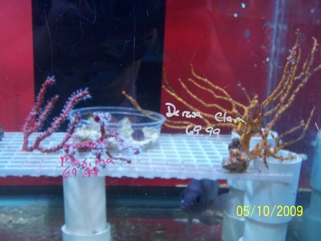100_6137.jpg