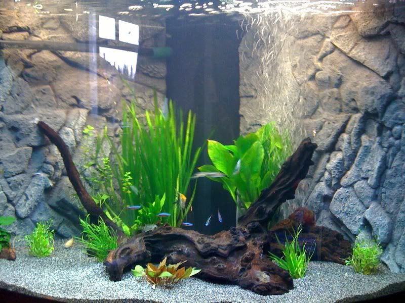 substrate1.jpg