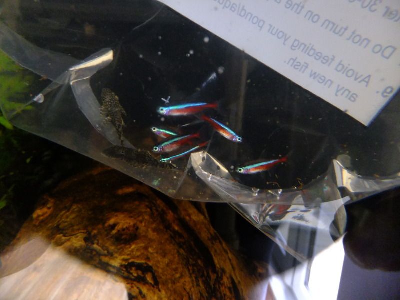 DSCF3360.jpg