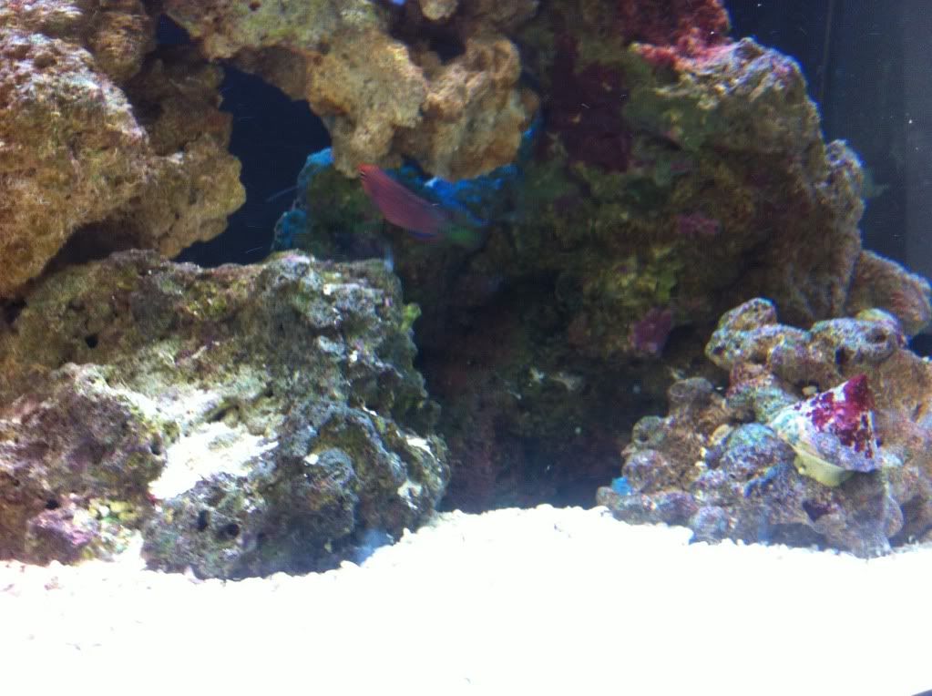 IMG_1114.jpg