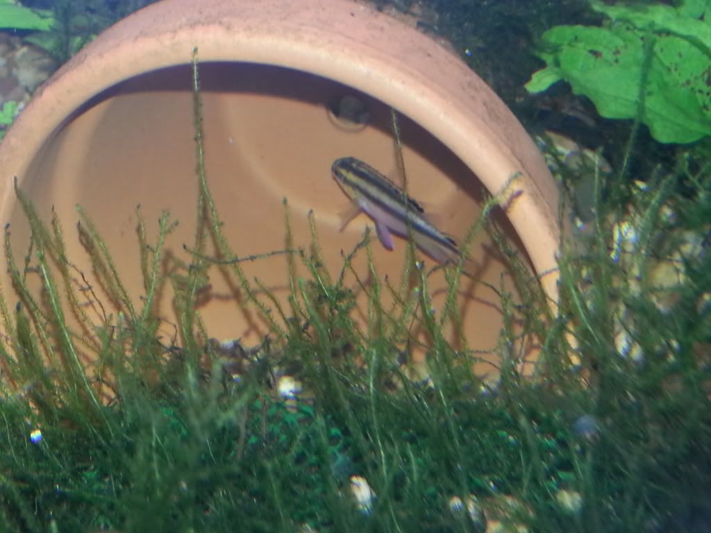 20120812_120842.jpg